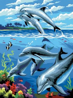 PEINTURE À NUMÉROS JUNIOR - DAUPHINS